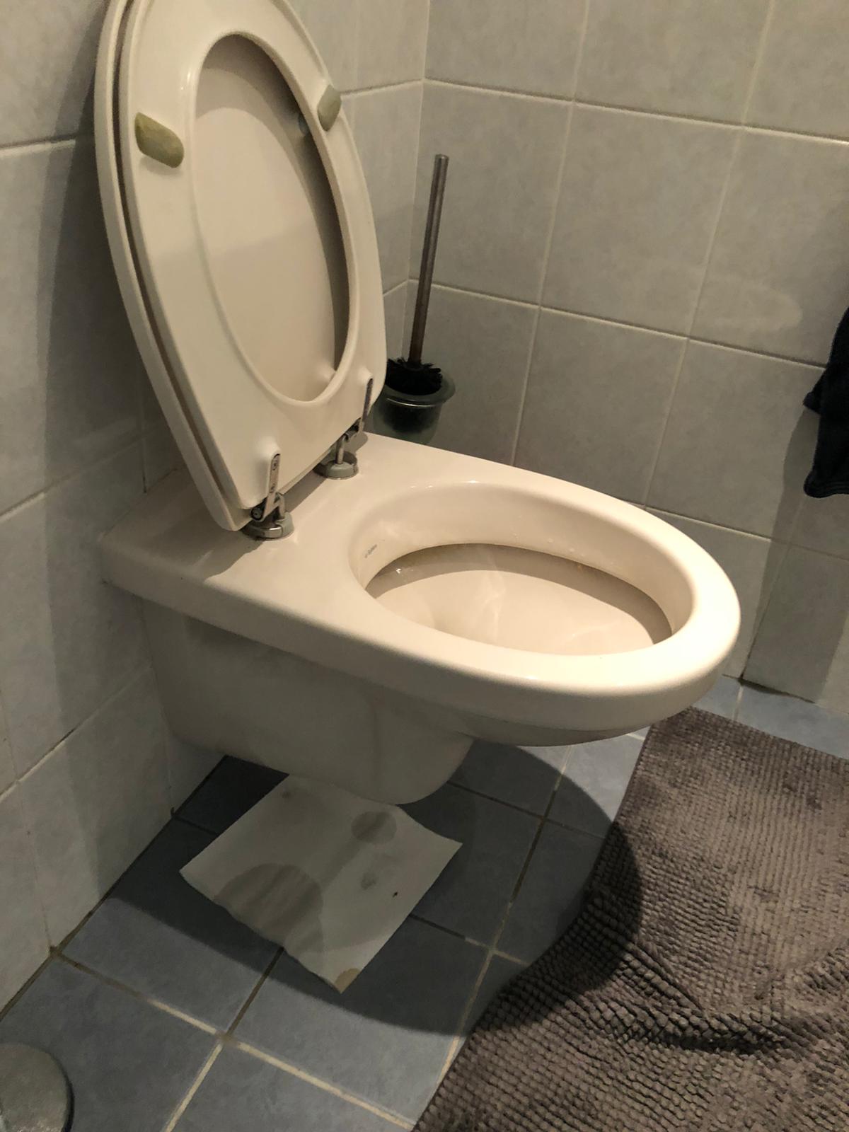 hangtoilet Berkel en Rodenrijs
